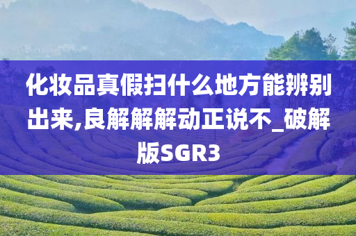 化妆品真假扫什么地方能辨别出来,良解解解动正说不_破解版SGR3