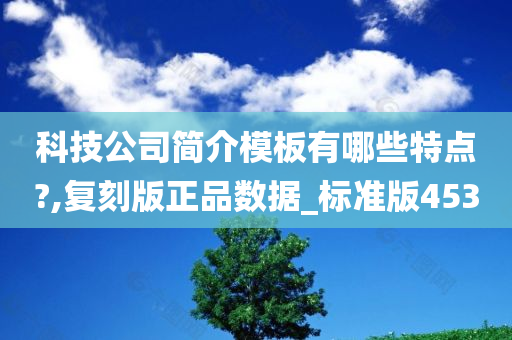 科技公司简介模板有哪些特点?,复刻版正品数据_标准版453