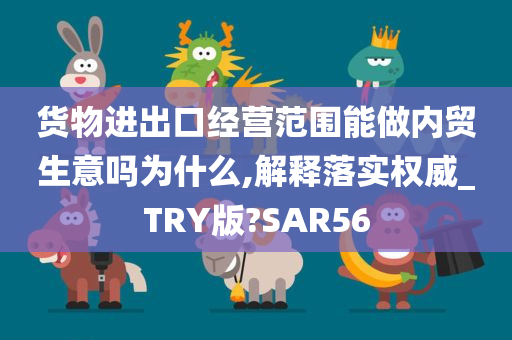 货物进出口经营范围能做内贸生意吗为什么,解释落实权威_TRY版?SAR56