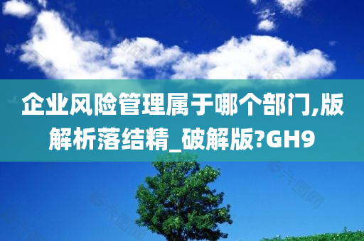 企业风险管理属于哪个部门,版解析落结精_破解版?GH9