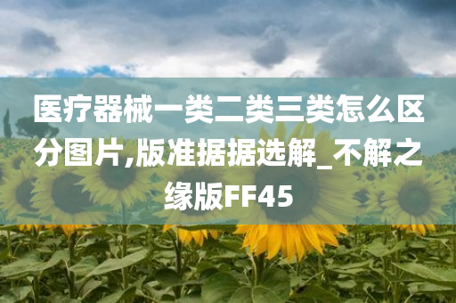 医疗器械一类二类三类怎么区分图片,版准据据选解_不解之缘版FF45