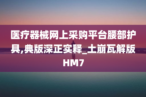 医疗器械网上采购平台腰部护具,典版深正实释_土崩瓦解版HM7