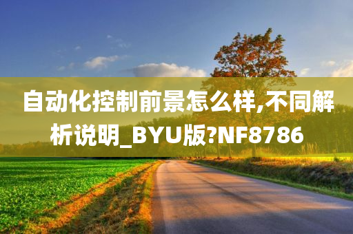 自动化控制前景怎么样,不同解析说明_BYU版?NF8786