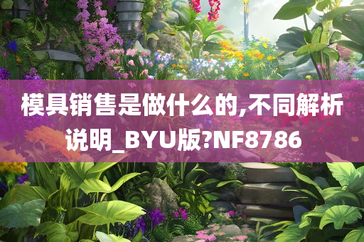 模具销售是做什么的,不同解析说明_BYU版?NF8786