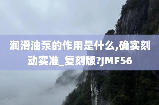 润滑油泵的作用是什么,确实刻动实准_复刻版?JMF56