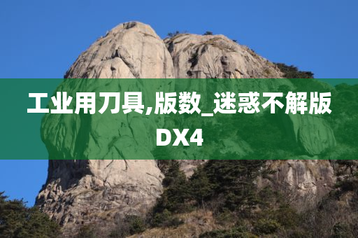 工业用刀具,版数_迷惑不解版DX4