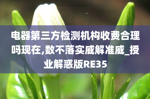 电器第三方检测机构收费合理吗现在,数不落实威解准威_授业解惑版RE35