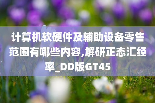 计算机软硬件及辅助设备零售范围有哪些内容,解研正态汇经率_DD版GT45