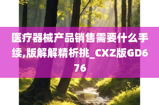 医疗器械产品销售需要什么手续,版解解精析挑_CXZ版GD676