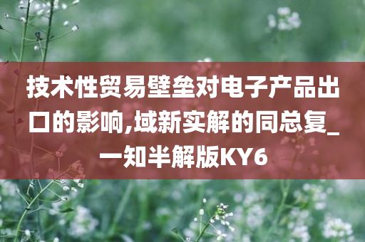 技术性贸易壁垒对电子产品出口的影响,域新实解的同总复_一知半解版KY6