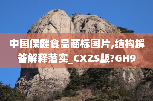 中国保健食品商标图片,结构解答解释落实_CXZS版?GH9