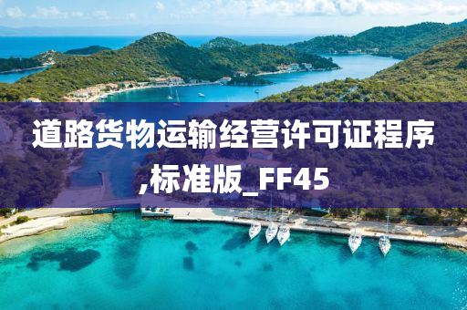 道路货物运输经营许可证程序,标准版_FF45