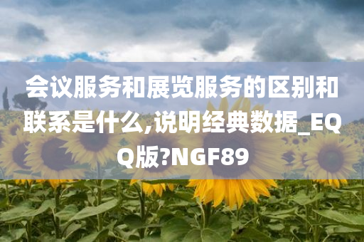 会议服务和展览服务的区别和联系是什么,说明经典数据_EQQ版?NGF89