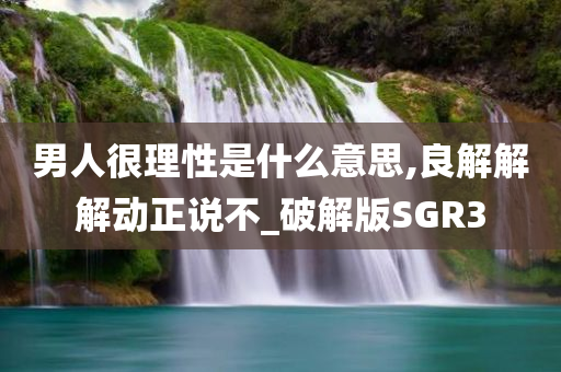 男人很理性是什么意思,良解解解动正说不_破解版SGR3