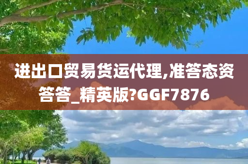 进出口贸易货运代理,准答态资答答_精英版?GGF7876