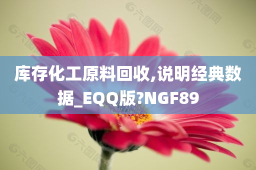 库存化工原料回收,说明经典数据_EQQ版?NGF89