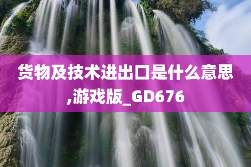 货物及技术进出口是什么意思,游戏版_GD676