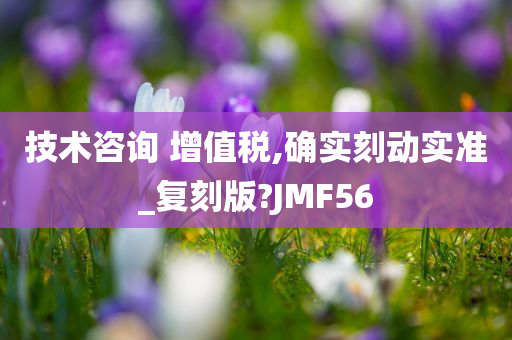 技术咨询 增值税,确实刻动实准_复刻版?JMF56