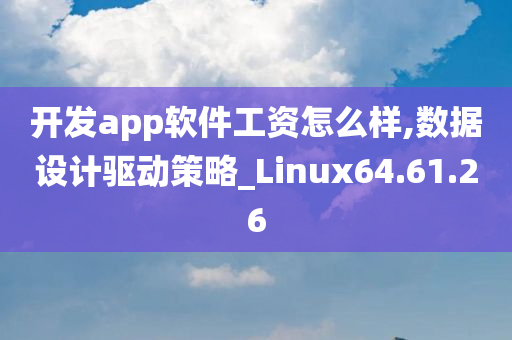 开发app软件工资怎么样,数据设计驱动策略_Linux64.61.26