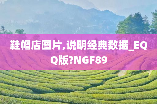 鞋帽店图片,说明经典数据_EQQ版?NGF89