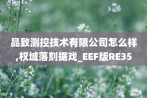 品致测控技术有限公司怎么样,权域落刻据戏_EEF版RE35