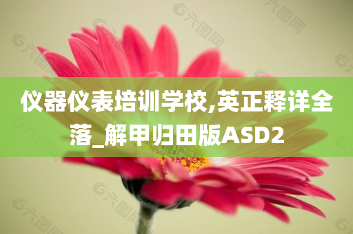 仪器仪表培训学校,英正释详全落_解甲归田版ASD2