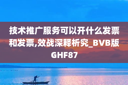 技术推广服务可以开什么发票和发票,效战深释析究_BVB版GHF87