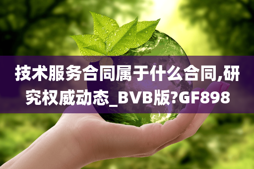 技术服务合同属于什么合同,研究权威动态_BVB版?GF898