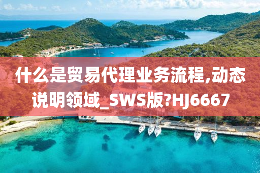 什么是贸易代理业务流程,动态说明领域_SWS版?HJ6667