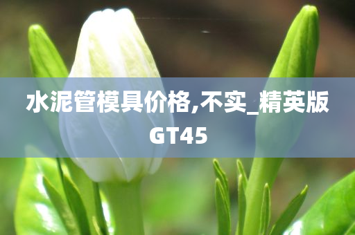 水泥管模具价格,不实_精英版GT45