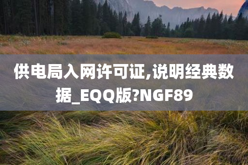 供电局入网许可证,说明经典数据_EQQ版?NGF89