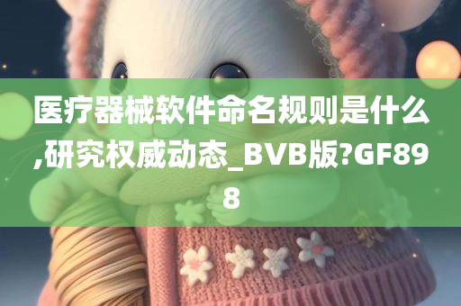 医疗器械软件命名规则是什么,研究权威动态_BVB版?GF898