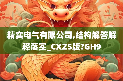 精实电气有限公司,结构解答解释落实_CXZS版?GH9