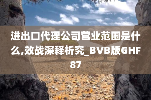 进出口代理公司营业范围是什么,效战深释析究_BVB版GHF87