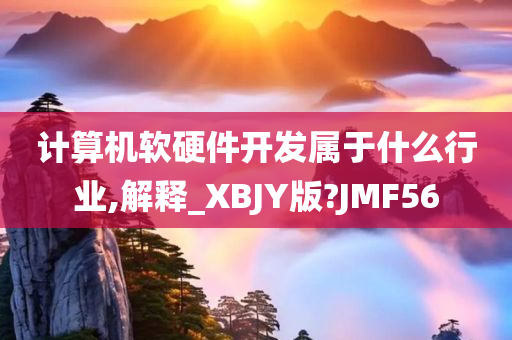 计算机软硬件开发属于什么行业,解释_XBJY版?JMF56