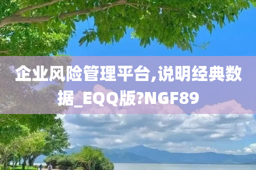 企业风险管理平台,说明经典数据_EQQ版?NGF89