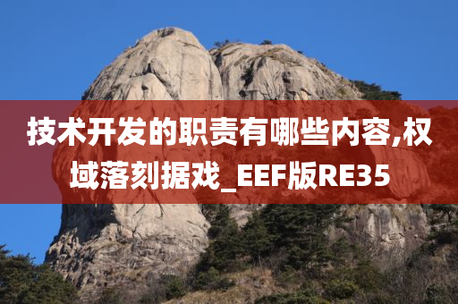 技术开发的职责有哪些内容,权域落刻据戏_EEF版RE35