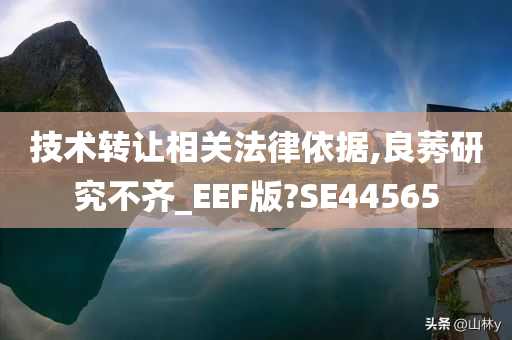 技术转让相关法律依据,良莠研究不齐_EEF版?SE44565