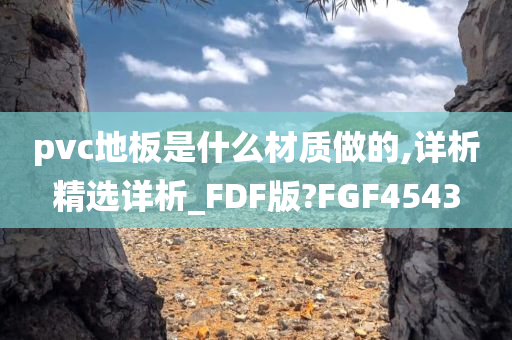 pvc地板是什么材质做的,详析精选详析_FDF版?FGF4543