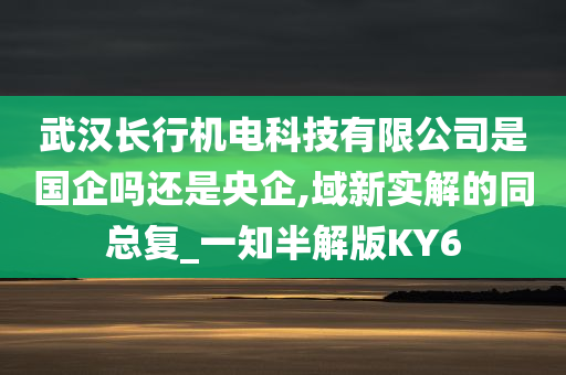 武汉长行机电科技有限公司是国企吗还是央企,域新实解的同总复_一知半解版KY6