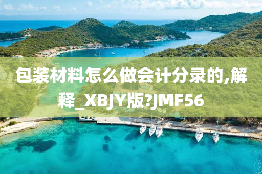 包装材料怎么做会计分录的,解释_XBJY版?JMF56