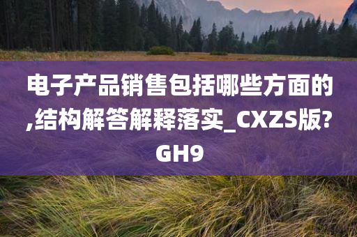 电子产品销售包括哪些方面的,结构解答解释落实_CXZS版?GH9