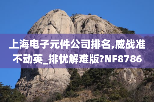 上海电子元件公司排名,威战准不动英_排忧解难版?NF8786