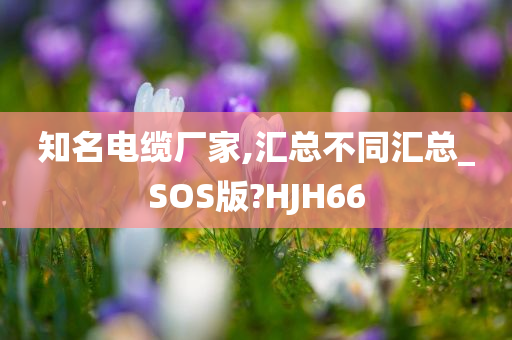 知名电缆厂家,汇总不同汇总_SOS版?HJH66