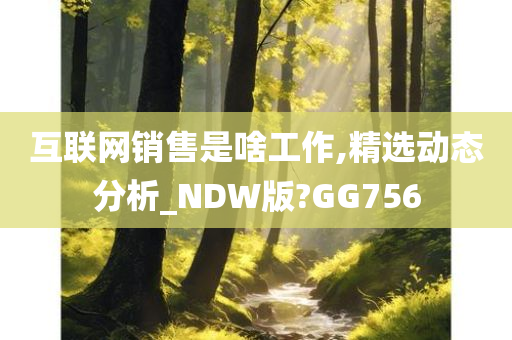 互联网销售是啥工作,精选动态分析_NDW版?GG756