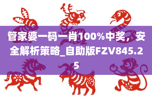 管家婆一码一肖100%中奖，安全解析策略_自助版FZV845.25