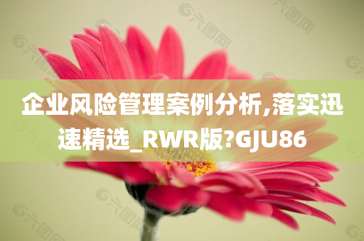 企业风险管理案例分析,落实迅速精选_RWR版?GJU86