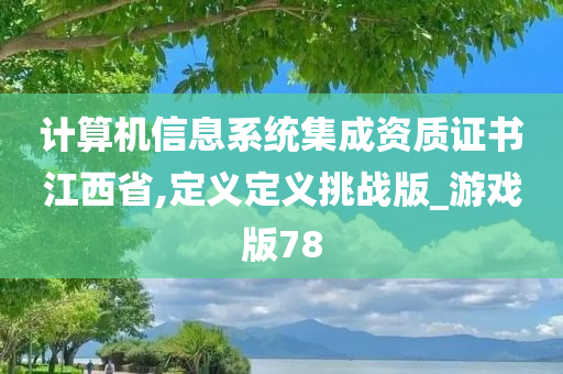 计算机信息系统集成资质证书江西省,定义定义挑战版_游戏版78