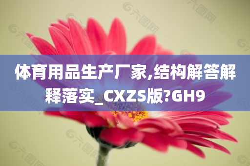 体育用品生产厂家,结构解答解释落实_CXZS版?GH9