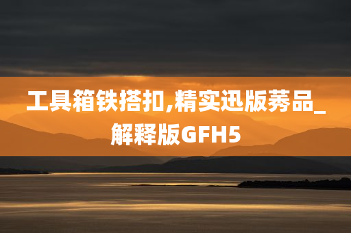 工具箱铁搭扣,精实迅版莠品_解释版GFH5